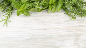 Welcome To The Herb Diva!